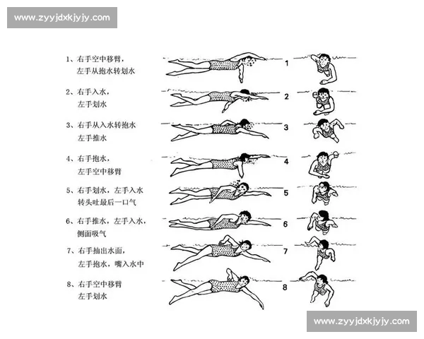 全面解析体育APP功能使用指南助你轻松掌握各项操作技巧